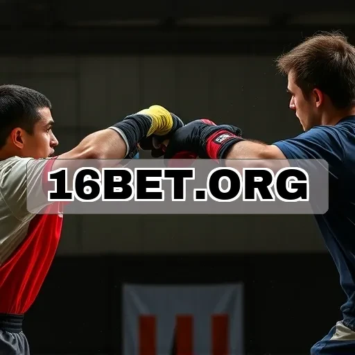 16BET.ORG: Perguntas Frequentes que Transformam sua Experiência de Jogo